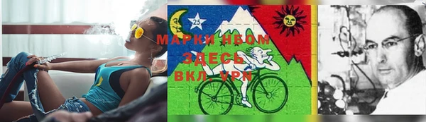 амф Михайловка