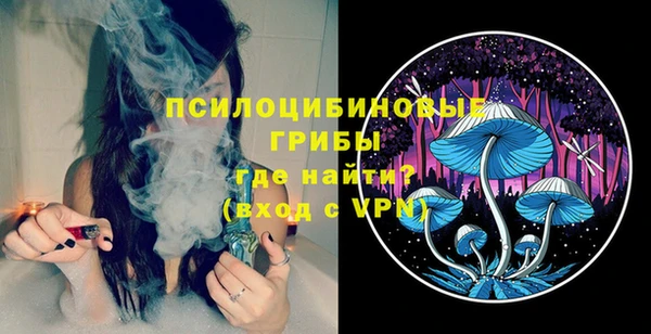 альфа пвп Надым