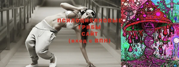 прущая мука Аша