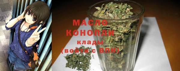 spice Михайлов