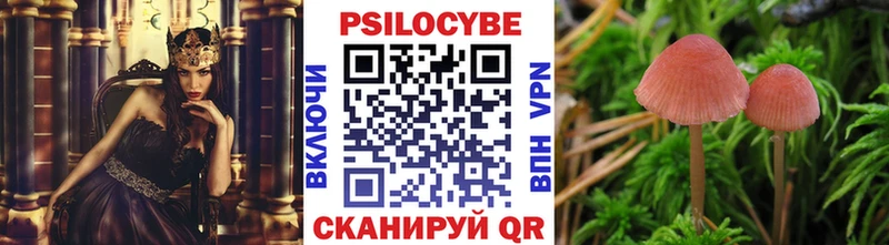 hydra tor  Злынка  darknet какой сайт  Галлюциногенные грибы мицелий 
